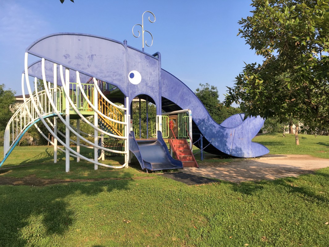 人気ナンバーワンのくじらの遊具