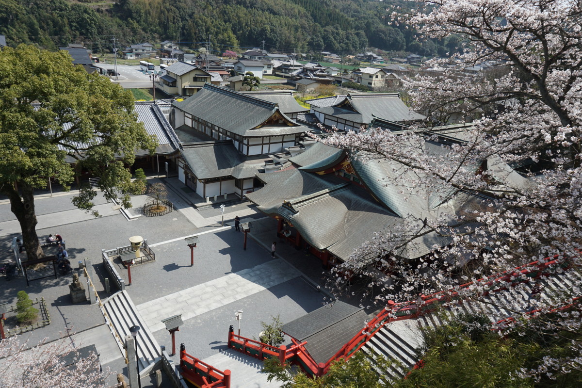 御本殿からの眺め