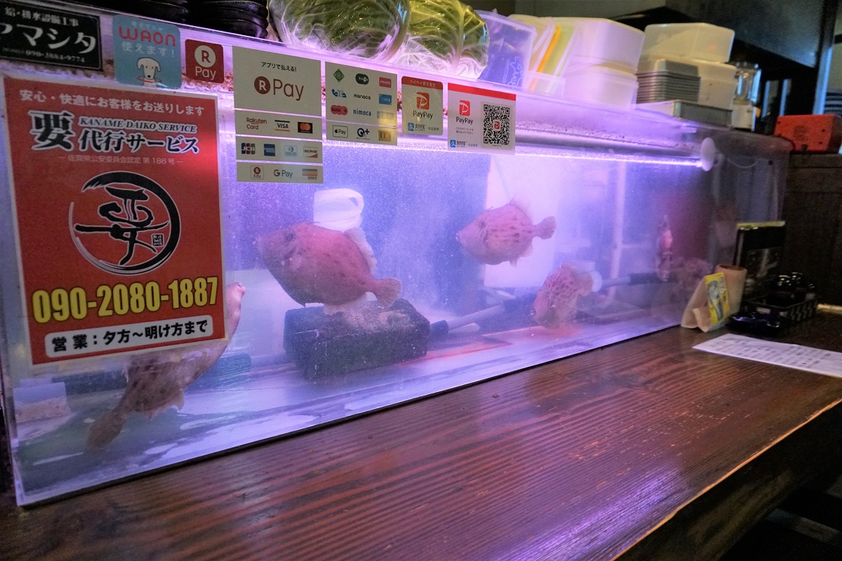 いけすあり！鮮魚を楽しめるお店です！