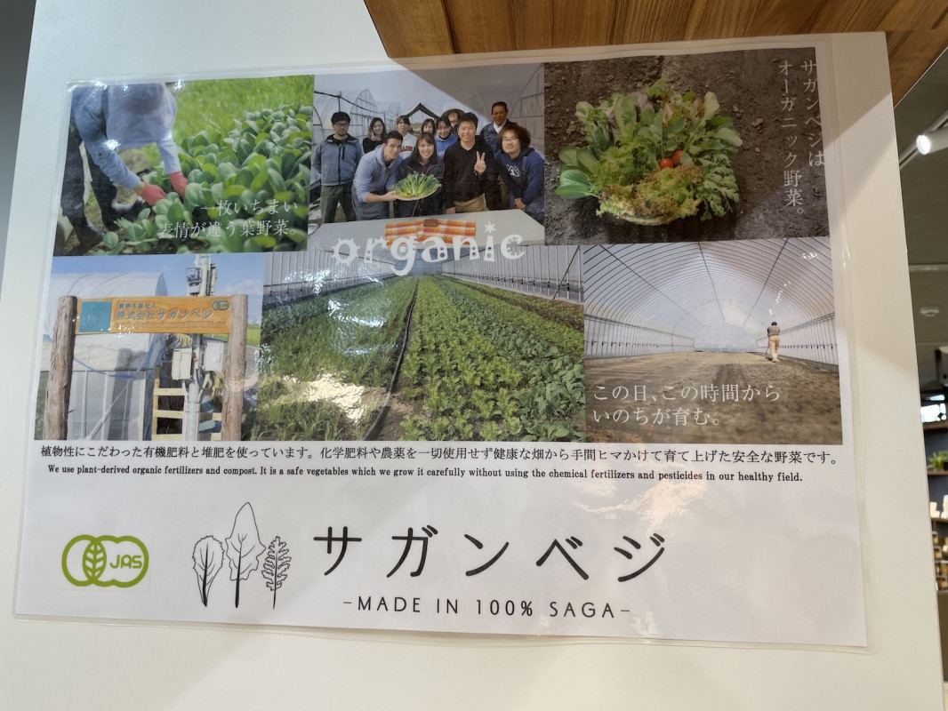 無農薬野菜を使用しています