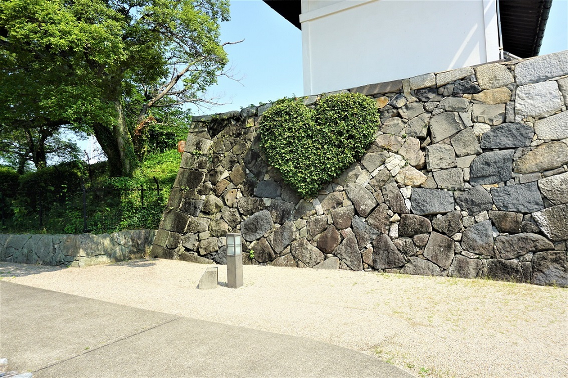 ハート形の蔦♡