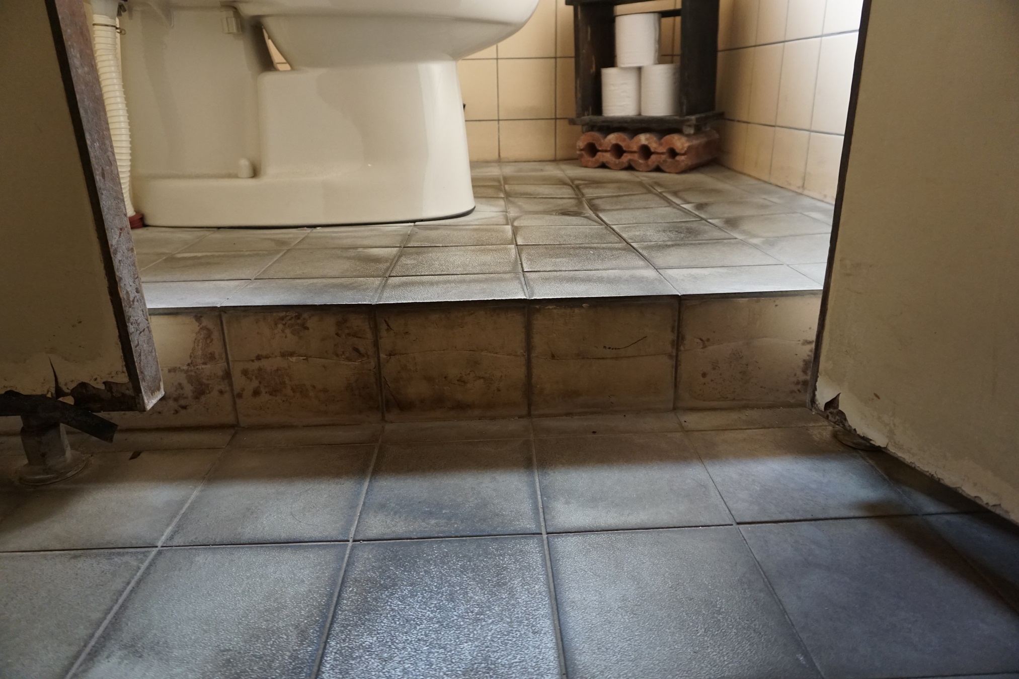 女性用トイレに10センチほどの段差あり