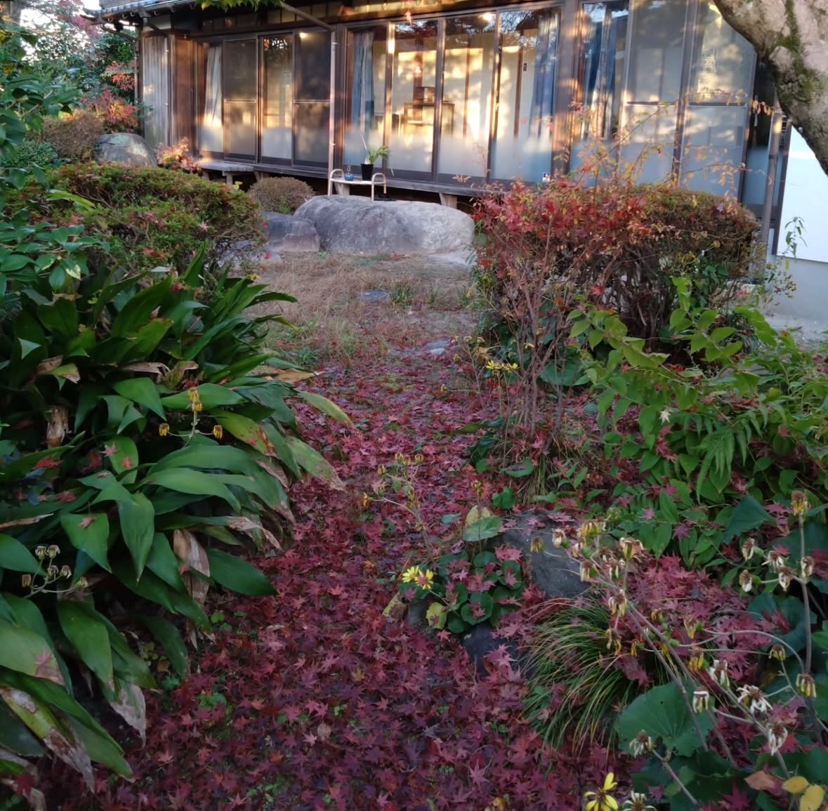 お庭から見た縁側