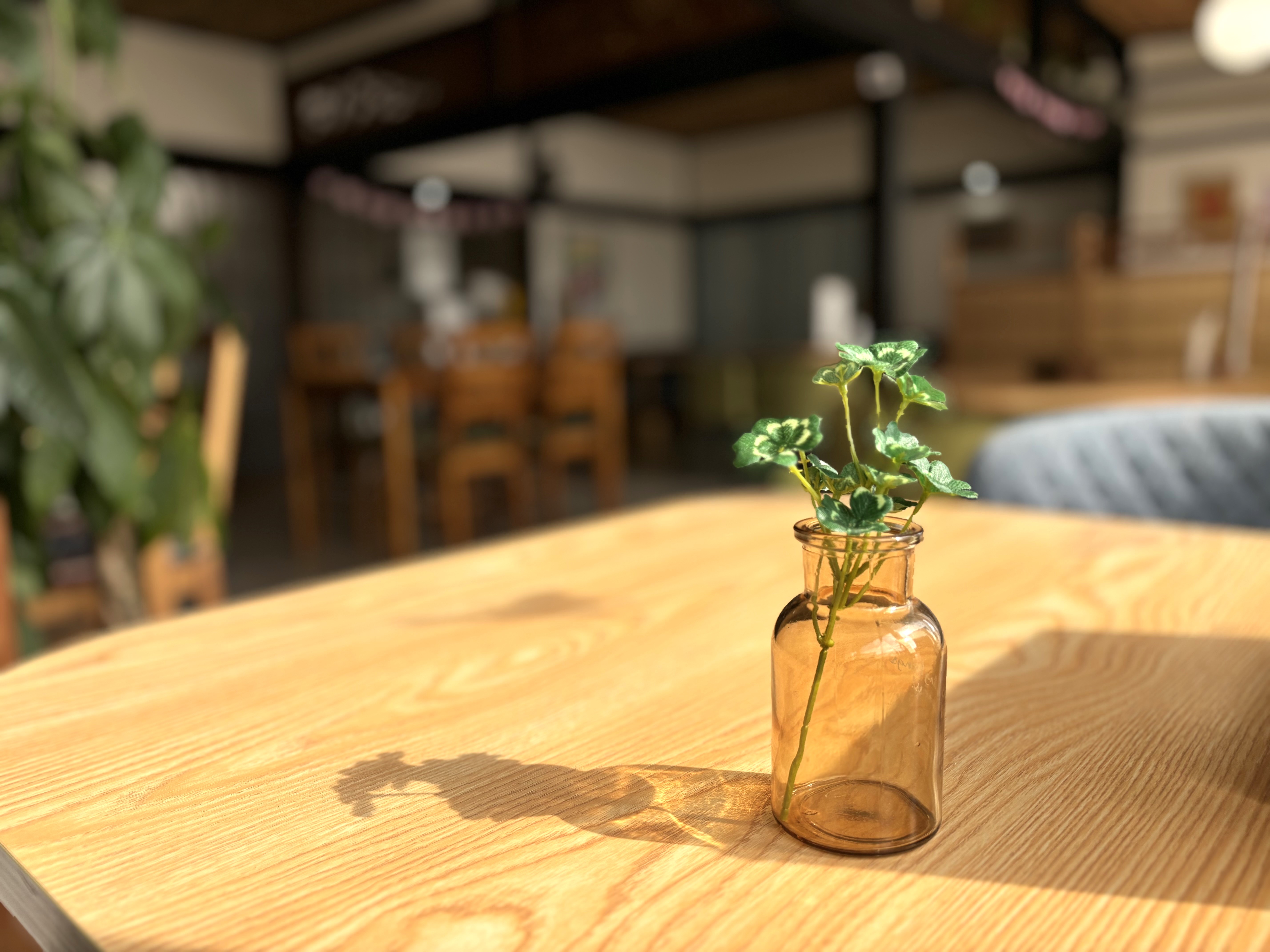 日差しがたっぷり入る店内