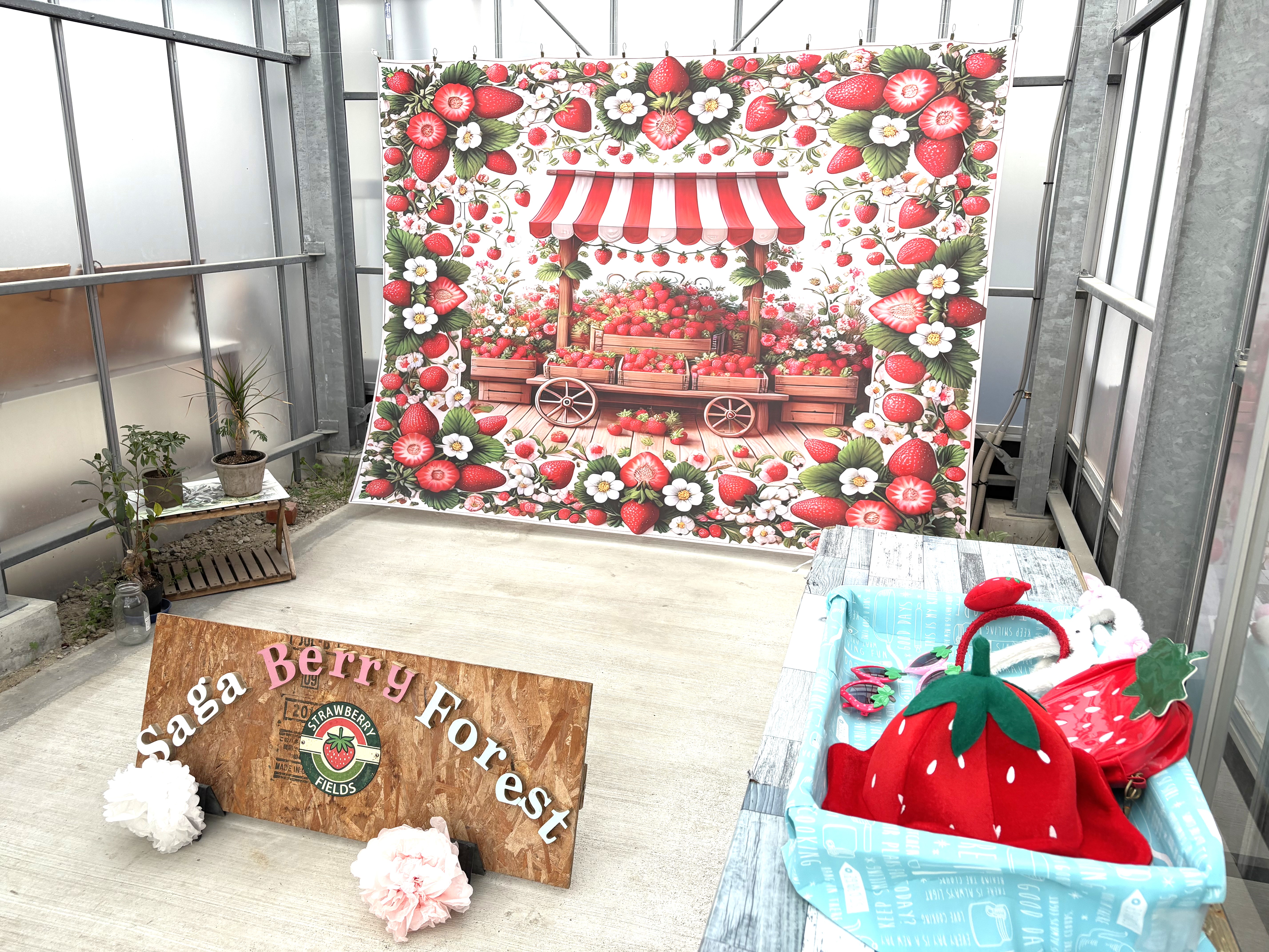 フォトスポットあります♪