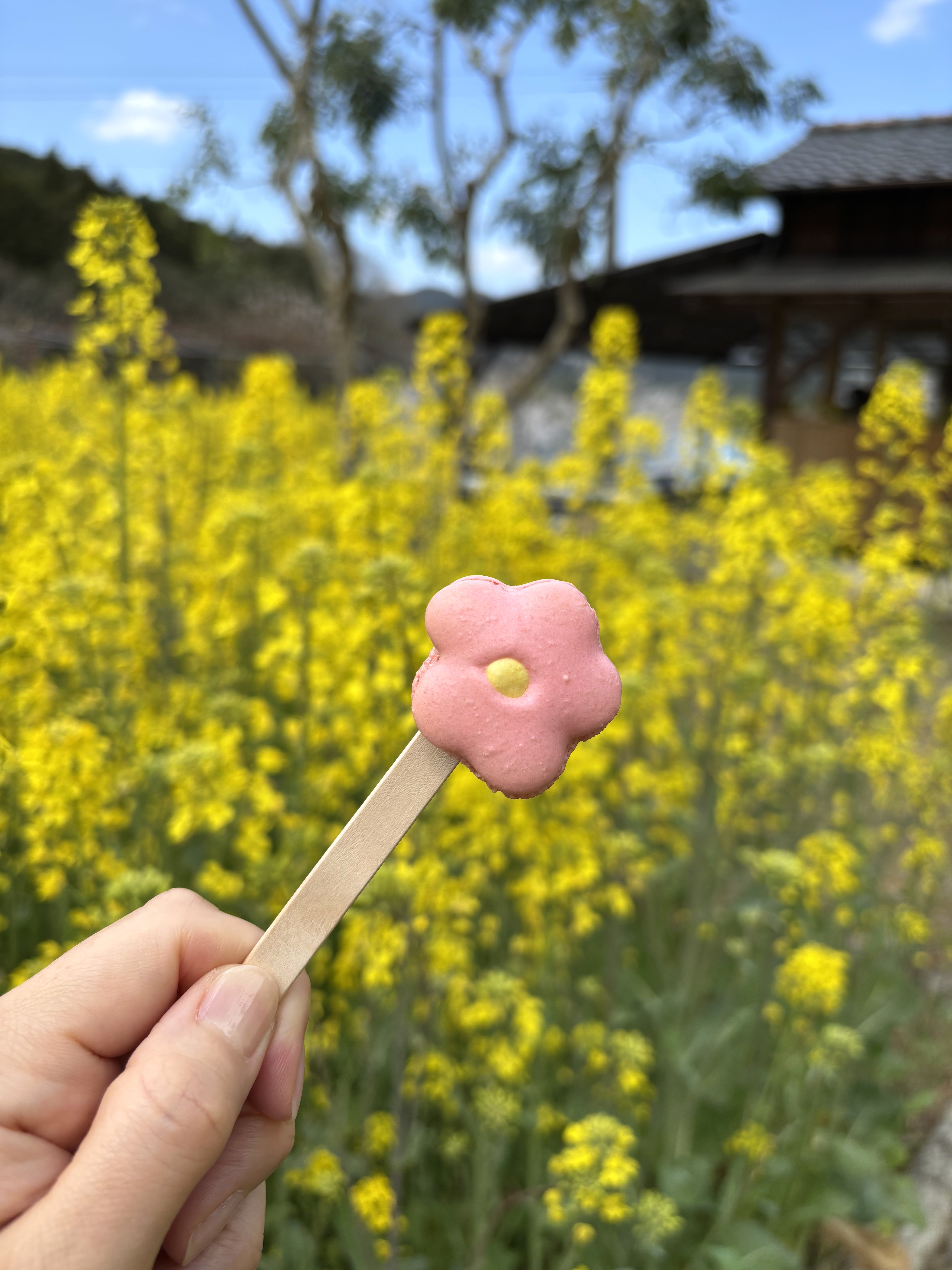 お花のマカロン