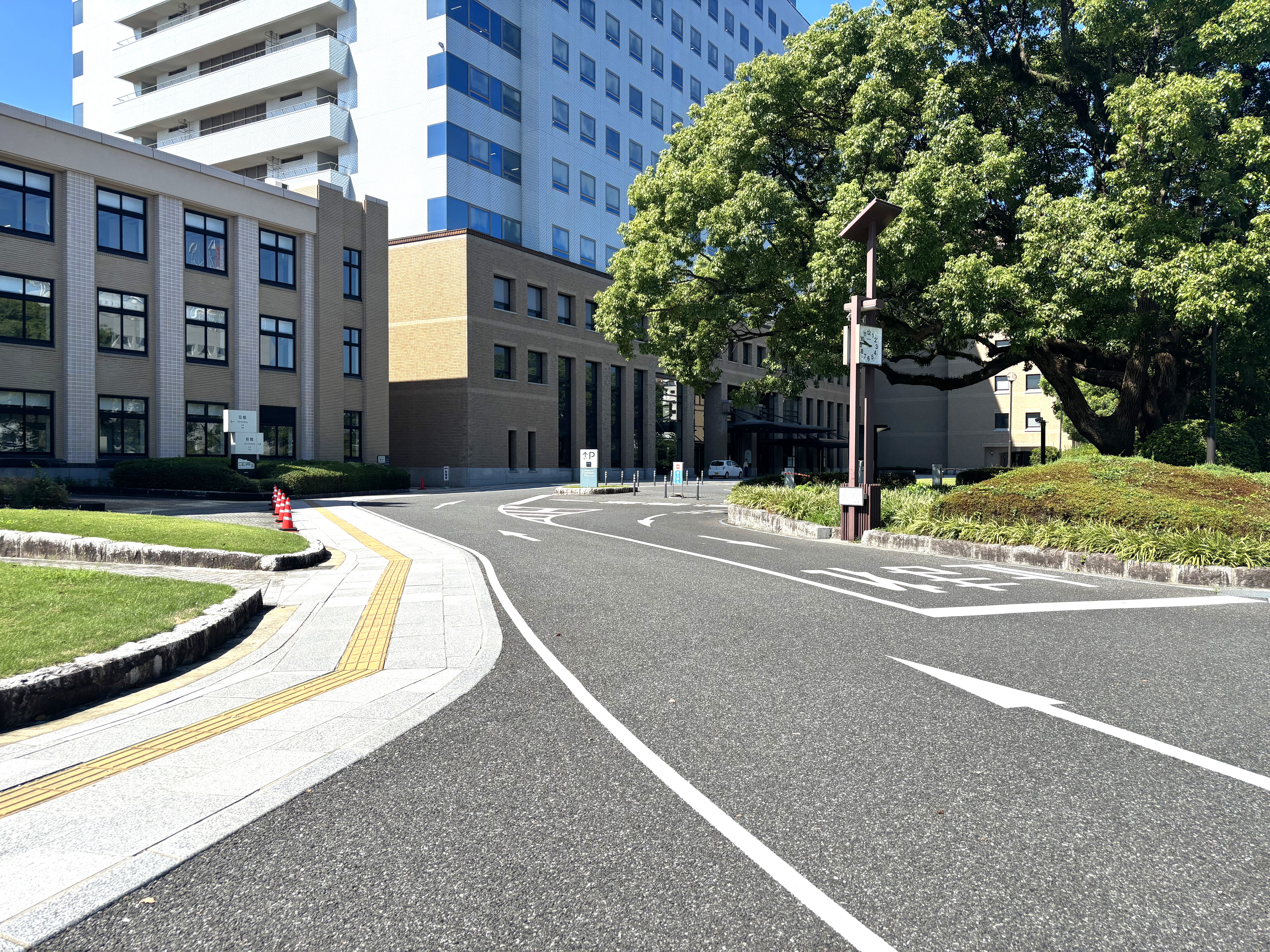 新館正面(北側)玄関前通路