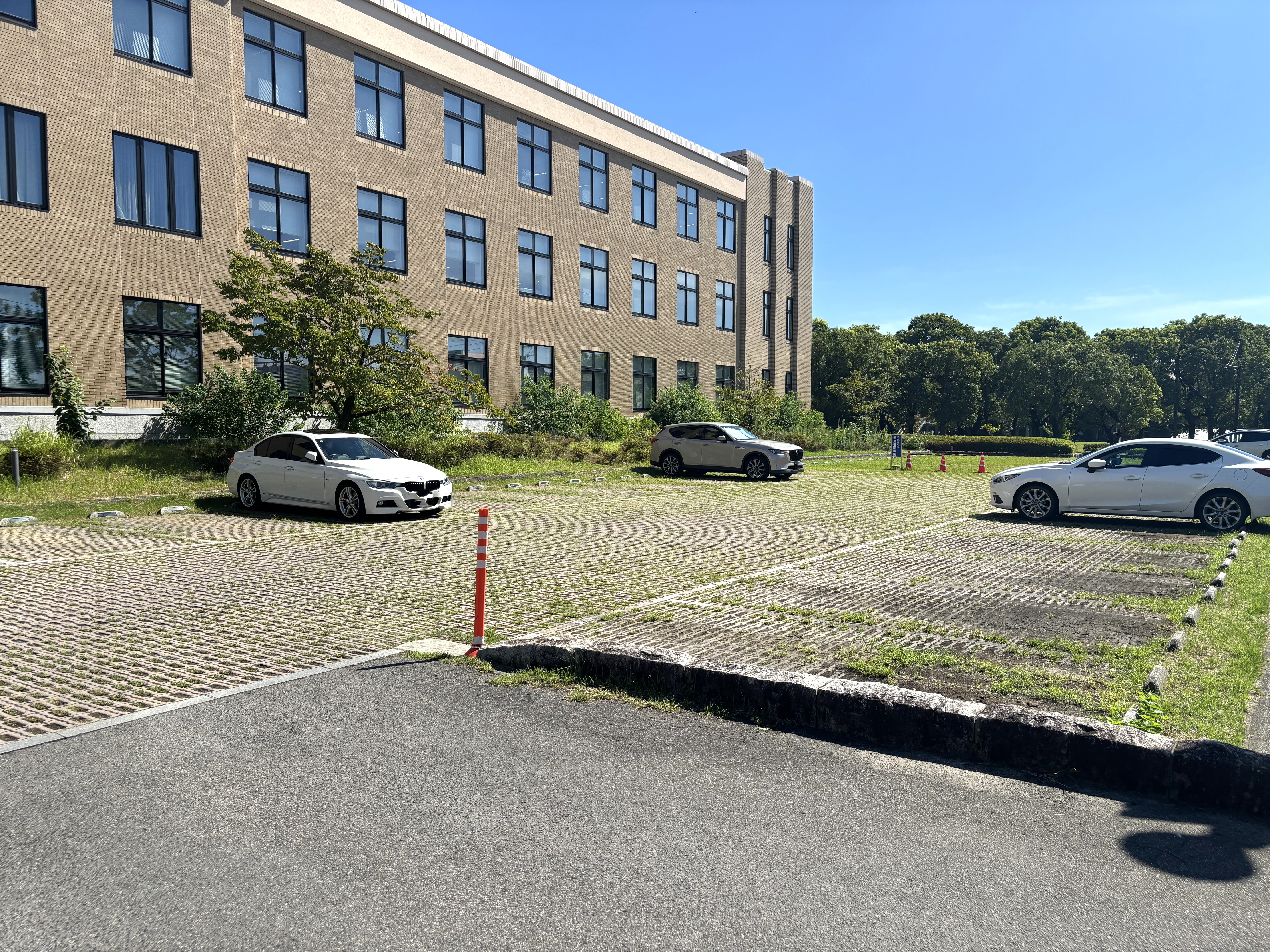 旧館南側駐車場